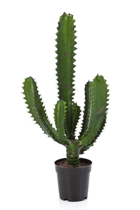 Kunstplant Cactus Finger 61 cm
