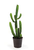 Kunstplant Cactus Finger 98 cm