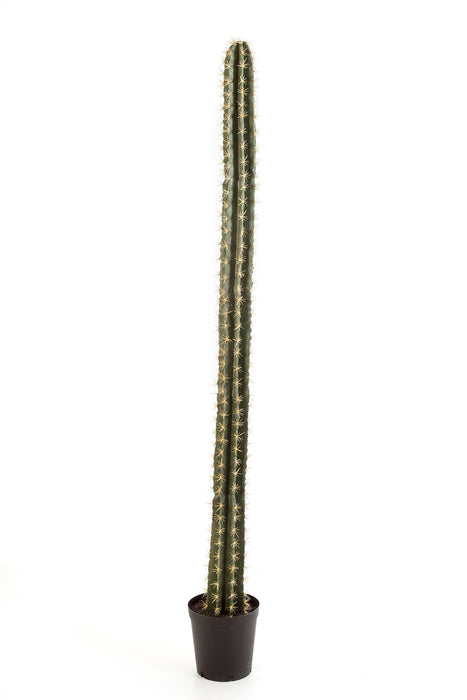 Kunstplant Cactus Single Column 206 cm