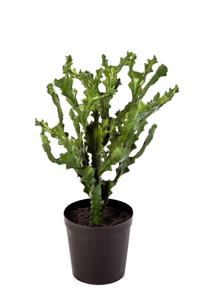 Kunstplant Cactus Mountain 76 cm