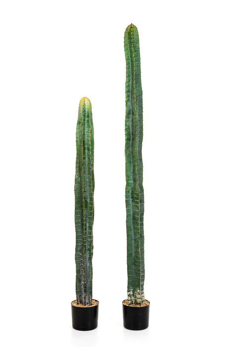 Kunstplant Cactus Cereus Column 180 cm