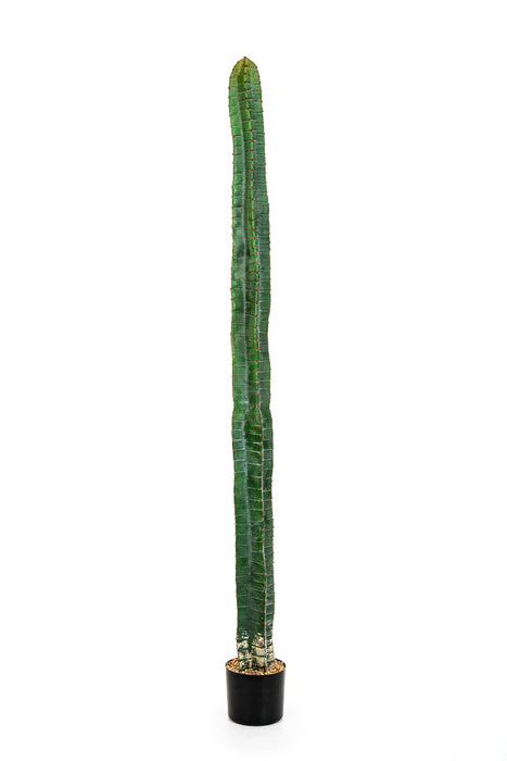 Kunstplant Cactus Cereus Column 180 cm