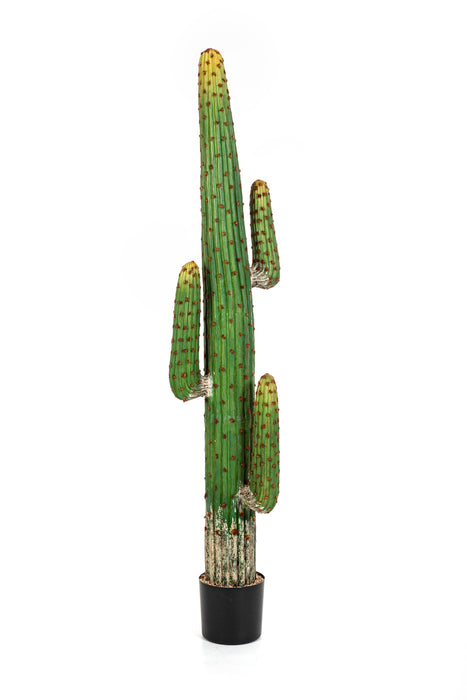 Archaïsch Oefening Bedenk Kunstplant Cactus Mexican 170 cm