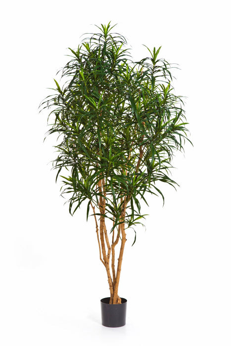 Kunstplant Dracaena Anita Tree 120 cm