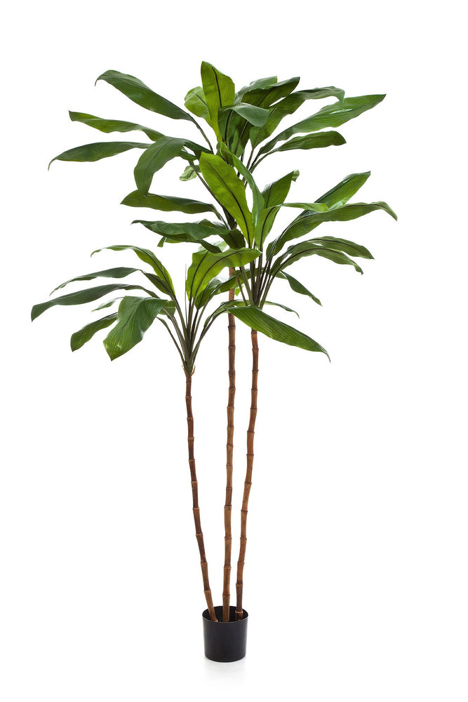 Kunstplant Cordyline Fructicosa 210 cm