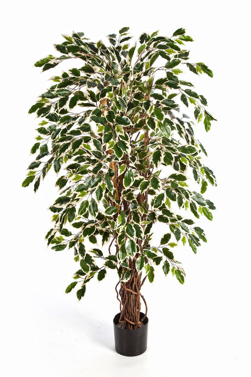 Kunstplant Variegated Ficus Liana 120 cm