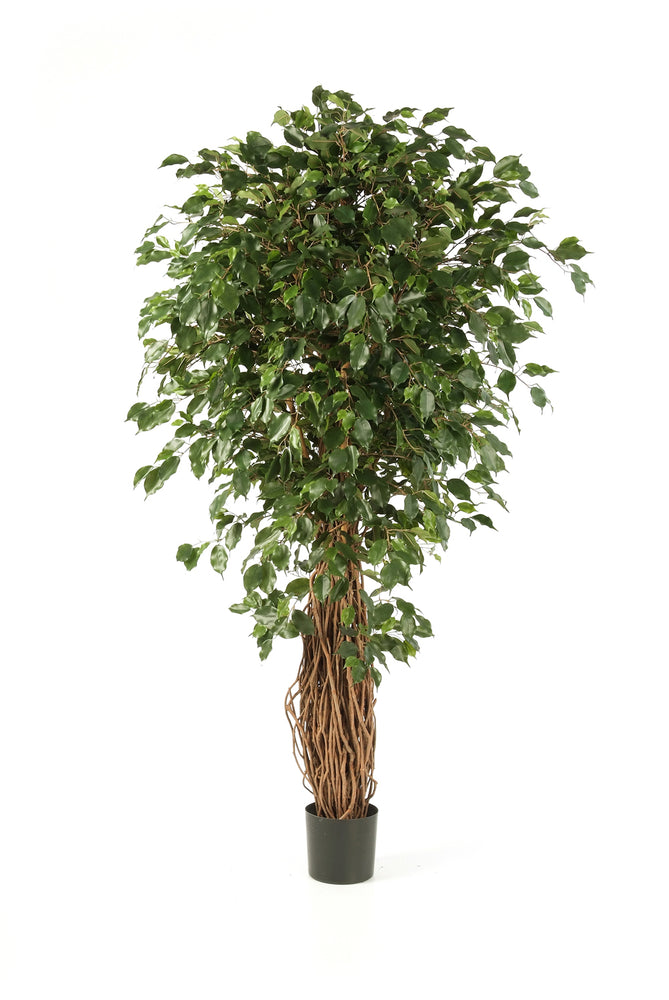 Kunstplant Ficus Liana Exotica Deluxe 120 cm