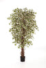 Kunstplant Variegated Hawaiian Ficus Liana 90 cm