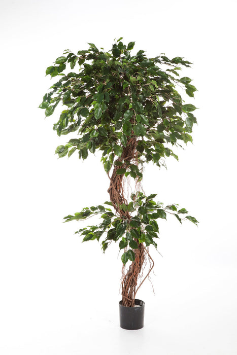 Kunstplant Ficus Corkscrew Exotica 180 cm