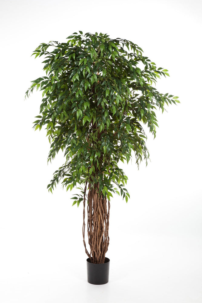 Kunstplant Ficus Liana Deluxe 150 cm