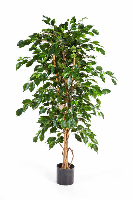 Kunstplant Ficus Exotica 120 cm