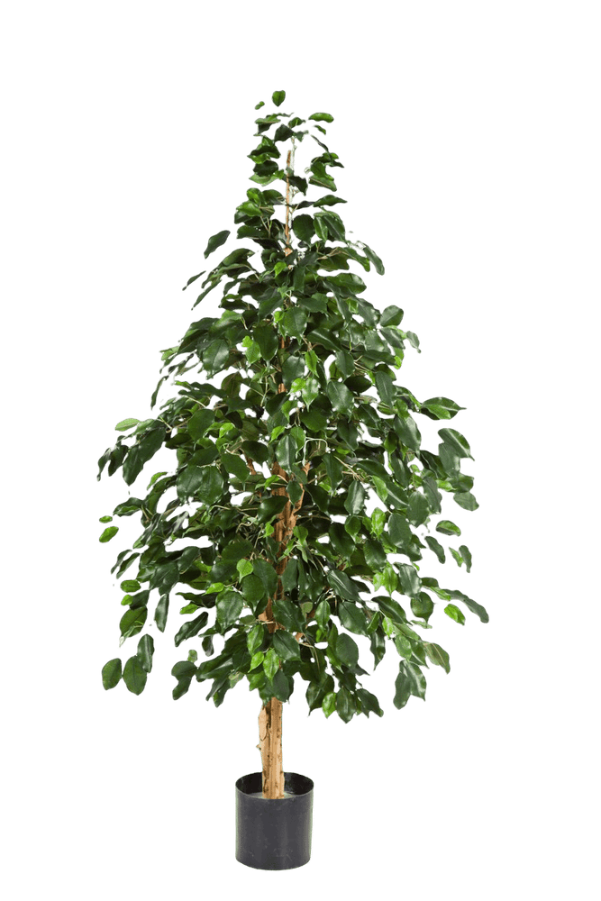Kunstplant   Natural Exotica Tree