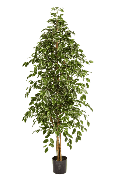 Kunstplant  Natural Exotica Tree 210 cm