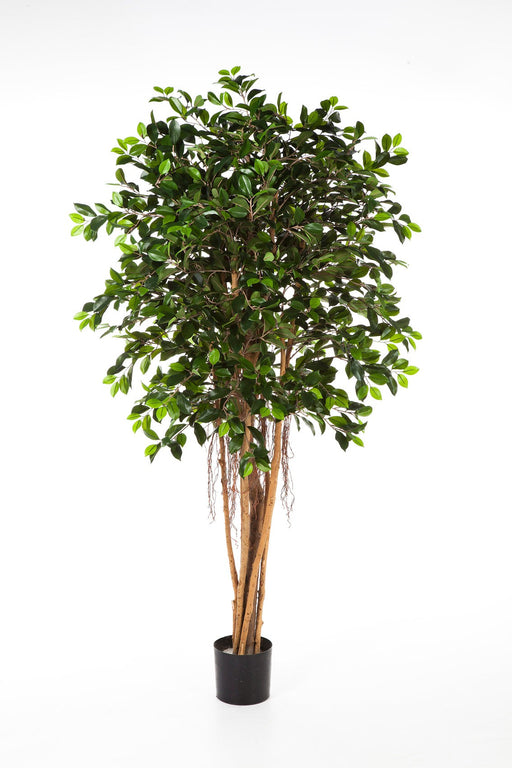 Kunstplant Ficus Retusa 150 cm