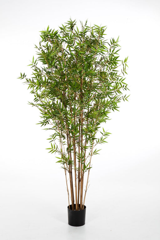 Kunstplant Japanese Oriental Bamboe 90 cm