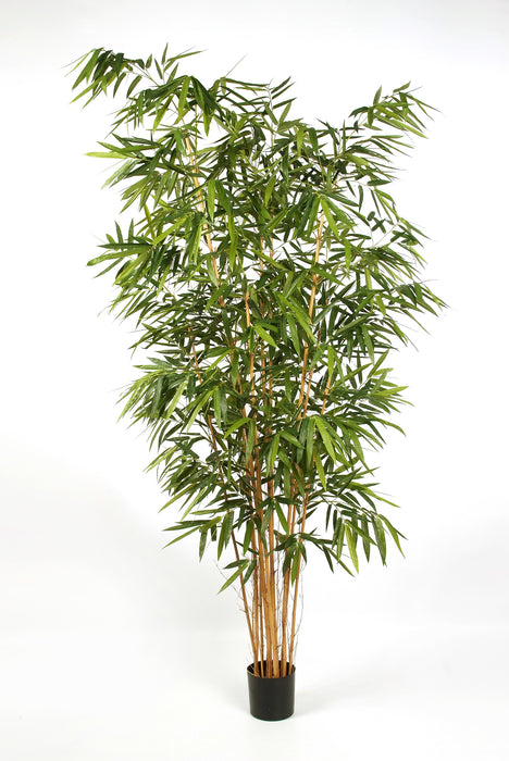 Kunstplant New Bamboe Big Leaf 240 cm