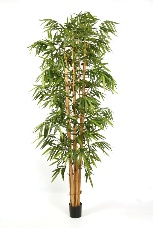 Kunstplant New Giant Bamboe Big Leaf 240 cm