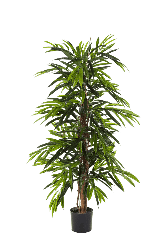 Kunstplant Deluxe Longifolia Tree 2