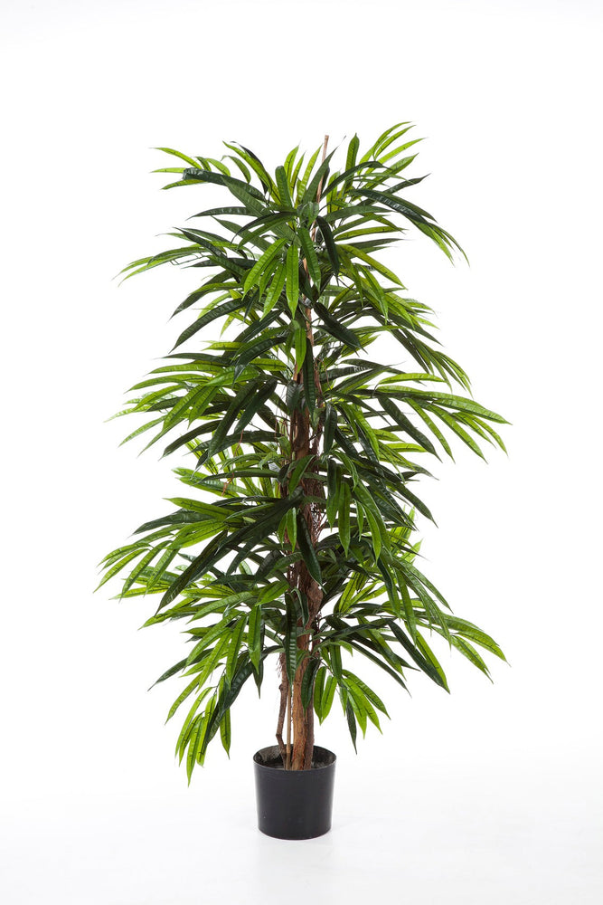 Kunstplant Deluxe Longifolia Tree 120 cm