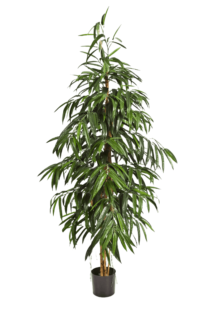 Kunstplant Longifolia Tree