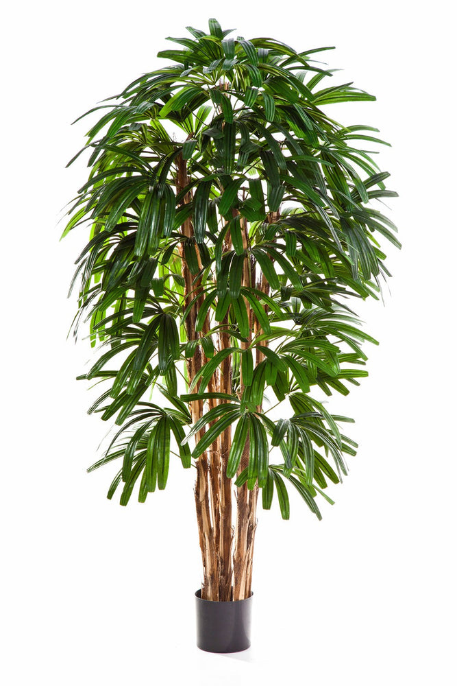 Kunstplant Raphis Palm Tree 120 cm