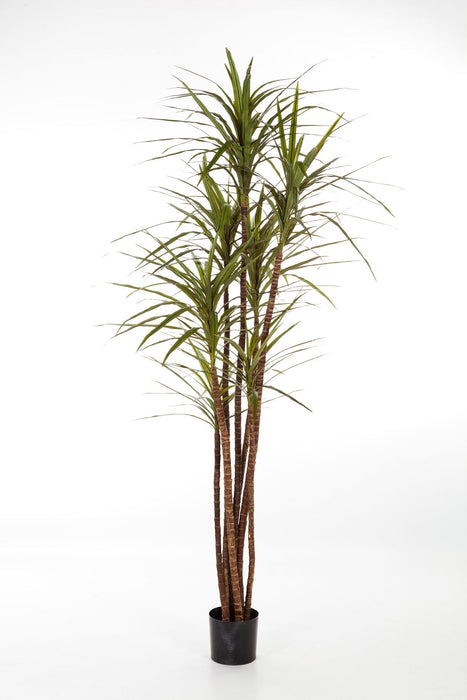 Kunstplant Dracaena Magenta 120 cm