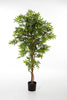 Kunstplant Japanese Maple 150 cm