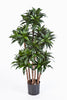 Kunstplant Dracaena Fragans Compacta 120 cm