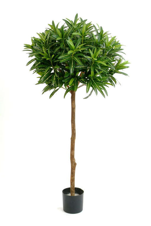 Kunstplant Croton Goldfinger Ball Tree 145 cm