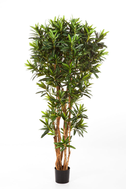 Kunstplant Croton Goldfinger Reflexa 150 cm