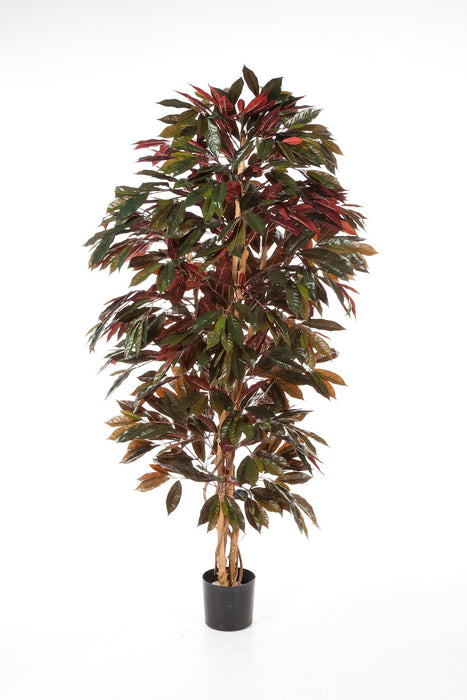 Kunstplant Capensia Bush 150 cm