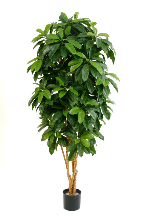 Kunstplant Lady Schefflera 142 cm