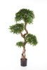 Kunstplant Podocarpus On Crazy Trunk 135 cm