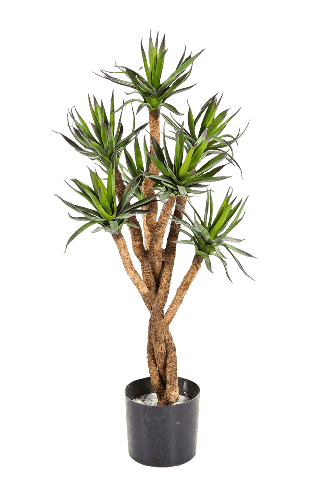 Kunstplant Agave Tree 70 cm