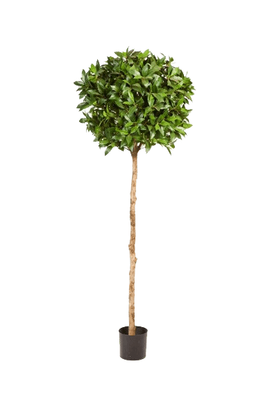Kunstplant Laurel Ball Tree De Lu 140 cm