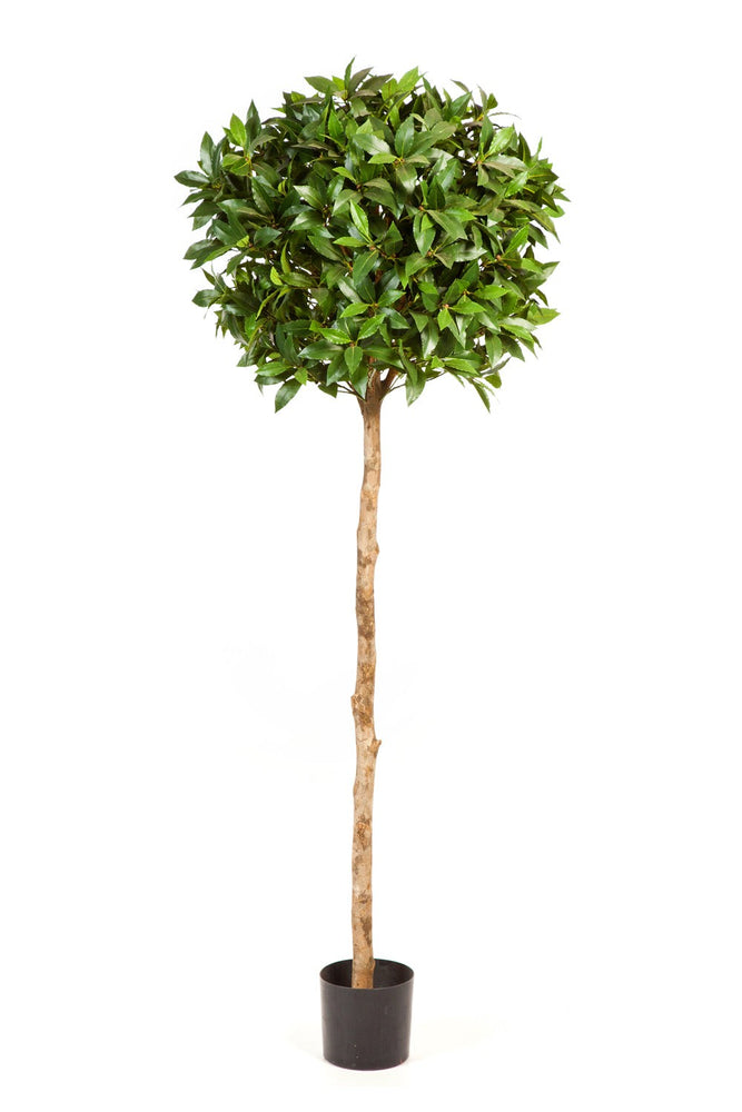 Kunstplant Laurel Tree Deluxe 140 cm