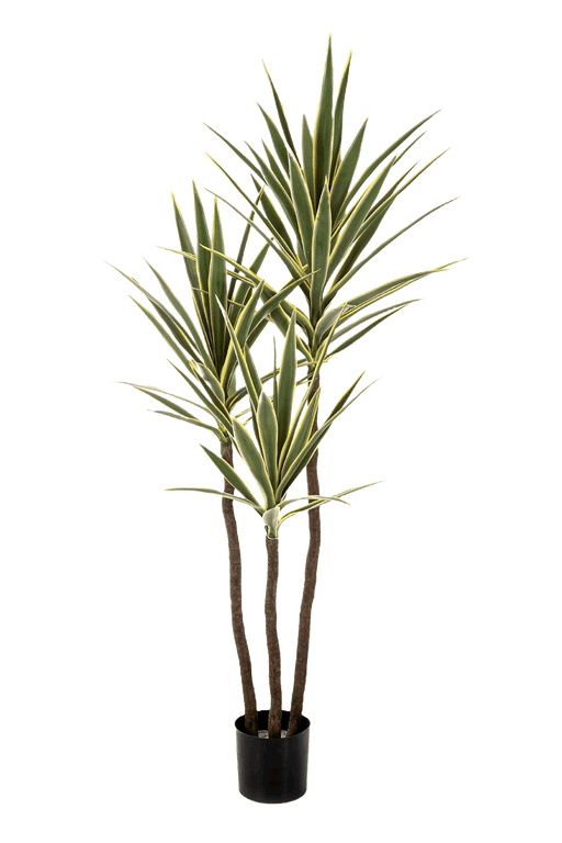 Kunstplant Variegated Yucca Tree De Luxe 160 cm