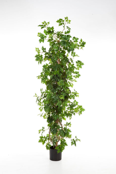 Kunstplant Cissus 100 cm