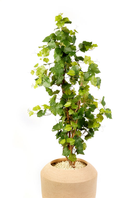 Kunstplant Grape Ivy Tree 120 cm
