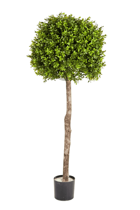 Kunstplant  Boxwood Ball Tree