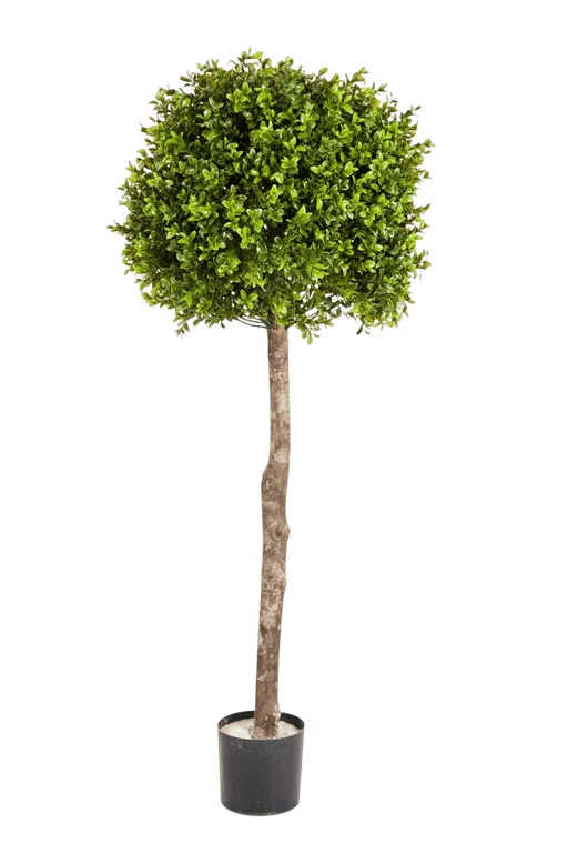 Kunstplant  Boxwood Ball Tree