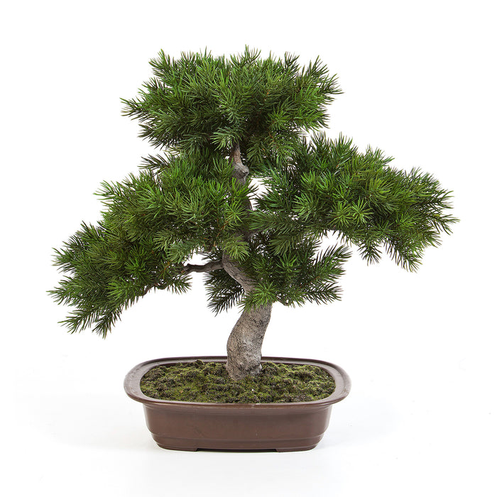 Kunstplant Pine Bonsai 48 cm