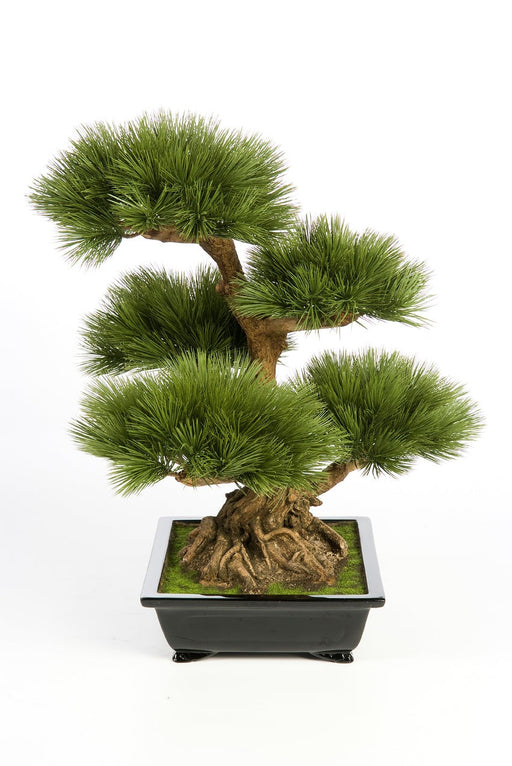 Kunstplant Pinus Bonsai 60 cm
