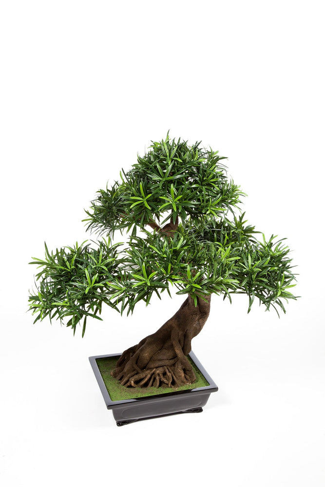 Kunstplant Podocarpus Bonsai 80 cm
