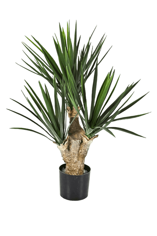 Kunstplant Baby Yucca 68 cm