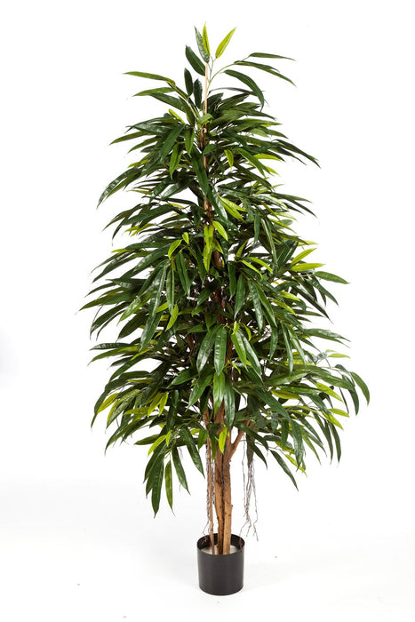 Kunstplant Natural Royal Longifolia 150 cm