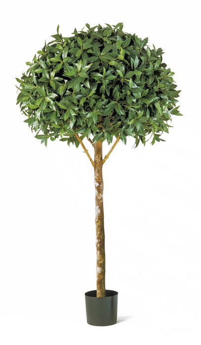 Kunstplant Laurel Ball Tree Maxima 170 cm