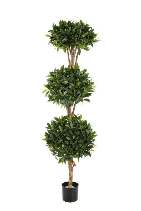 Kunstplant  Laurel Triple Ball De Lux 180 cm