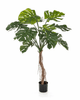 Kunstplant Split Philo Root Tree 130 cm