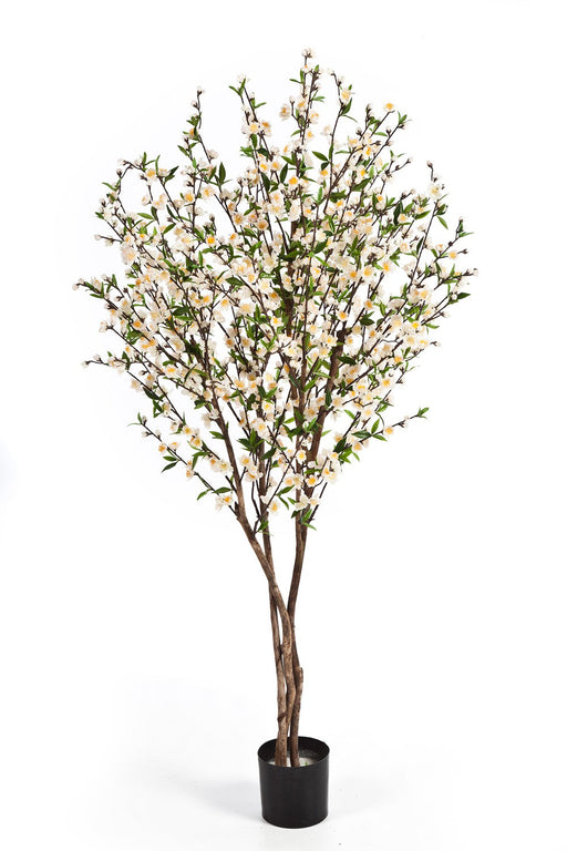 Kunstplant Cherry Blossom Cream 140 cm